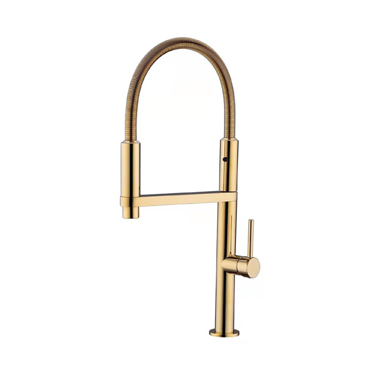 Aurum Peniculus Ktichen Faucets