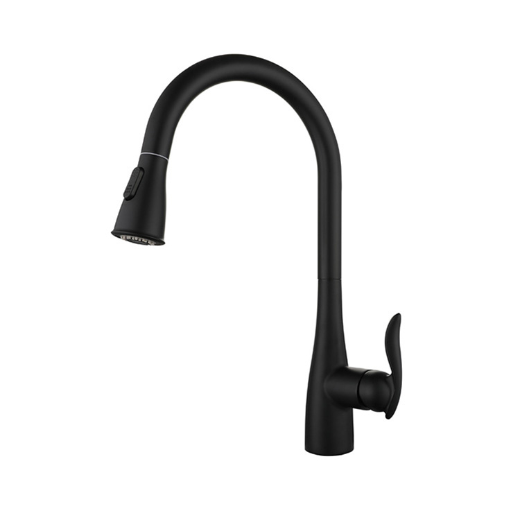 Matte Black Faucets